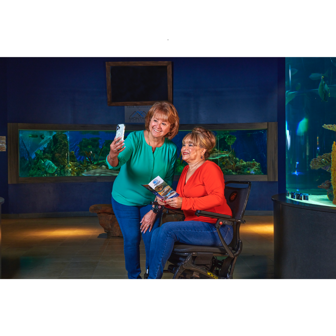 Golden Tech Cricket Carbon Fiber Foldable Travel Power Wheelchair - primehubstore.shop Power Chairs