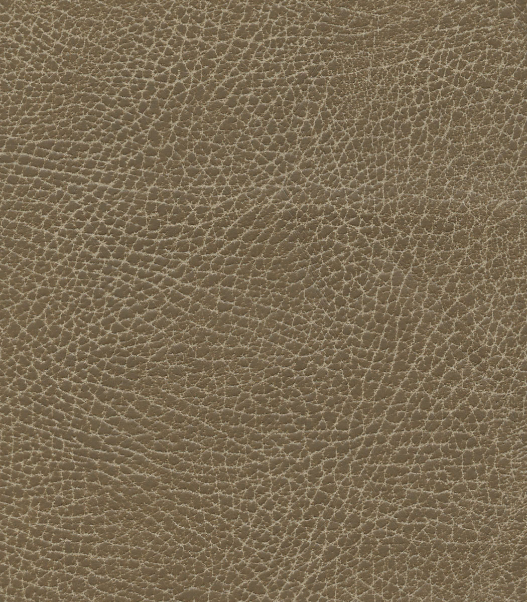 Golden Tech PR401 Signature Series Cambridge Power Recliners