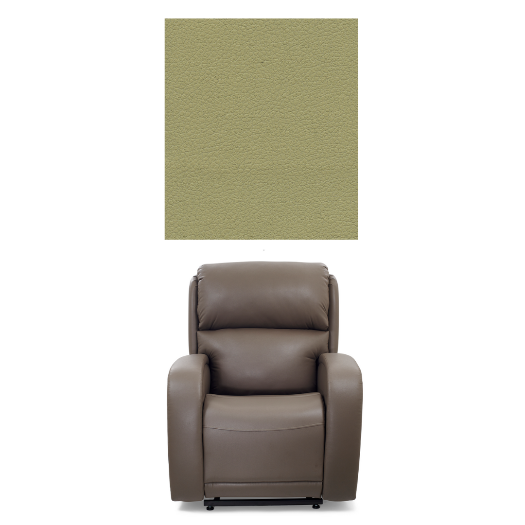 Golden Tech EZ Sleeper Assisted Lift Recliner with Twilight & Power Lumbar - primehubstore.shop Recliners