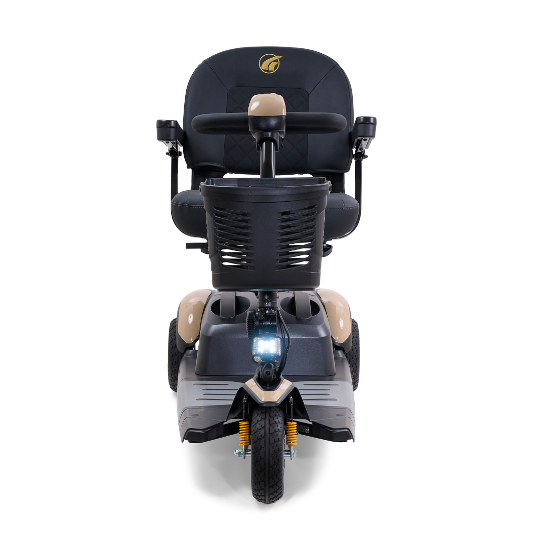 Golden Tech GB118D BuzzAround EX Extreme 3-Wheel Long Range Travel Scooter