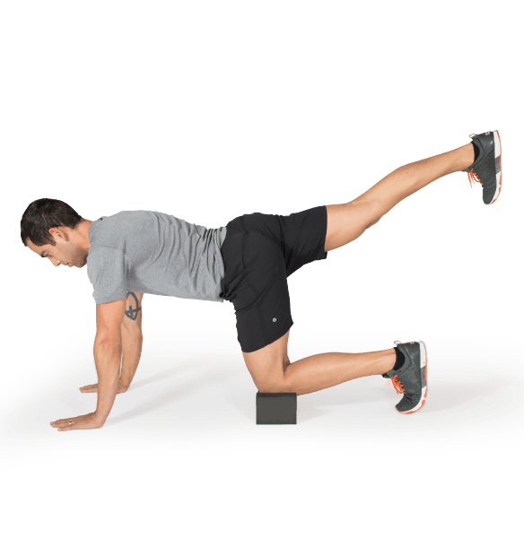 OPTP Performance Block For Yoga, Pilates, & Physical Therapy - primehubstore.shop Physical Therapy