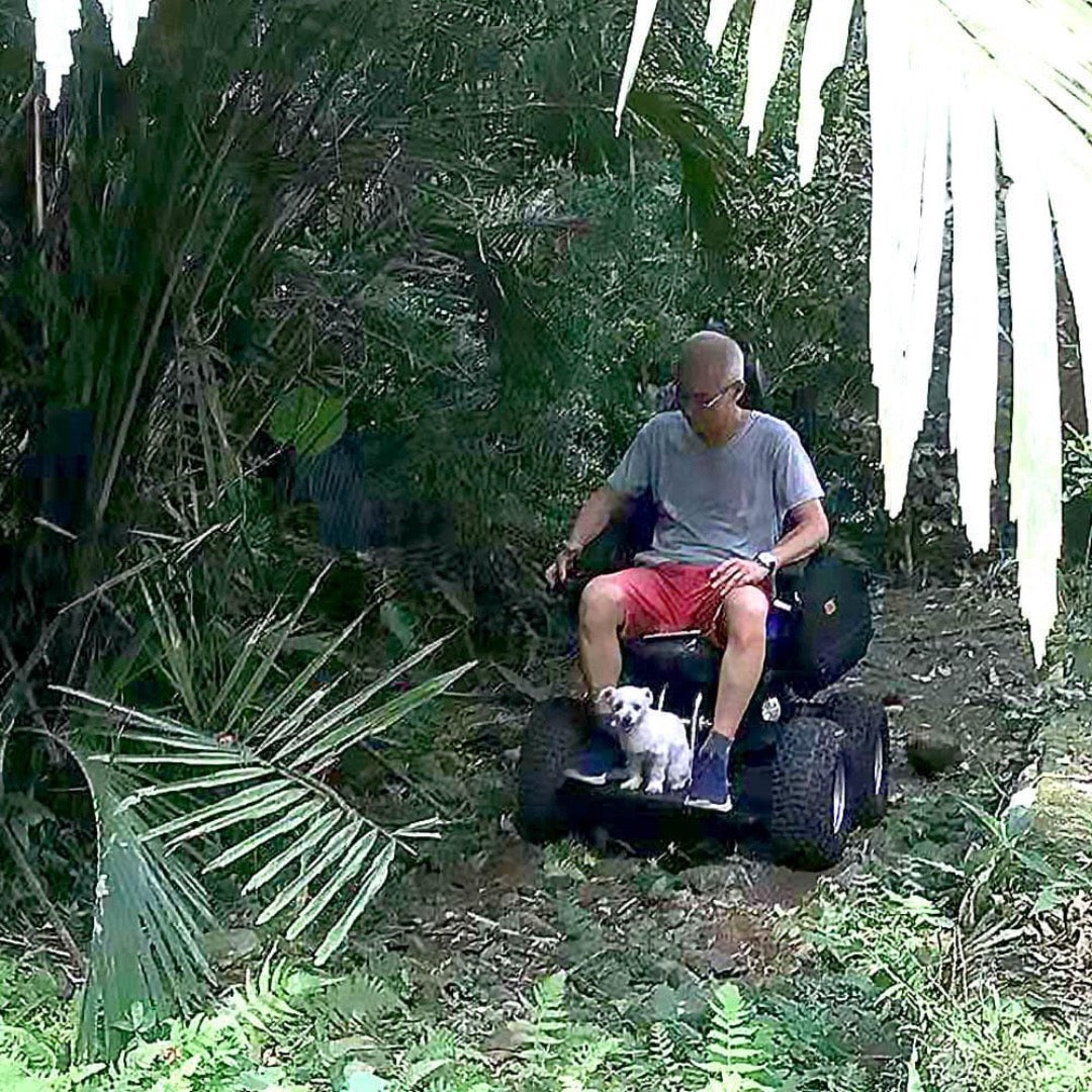 Foldawheel 4X4 All Terrain Indoor Outdoor 4 Wheel Drive Stair Climbing Gyroscope Power Electric Wheelchair - primehubstore.shop Power Chairs