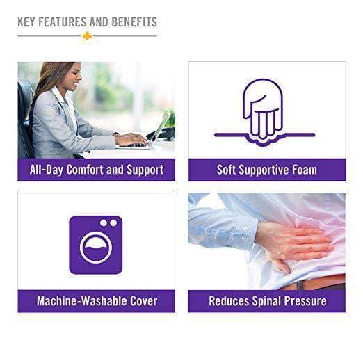 DMI Relax-a-Bac Lumbar Support Back Cushions with Insert and Strap - primehubstore.shop Cushions