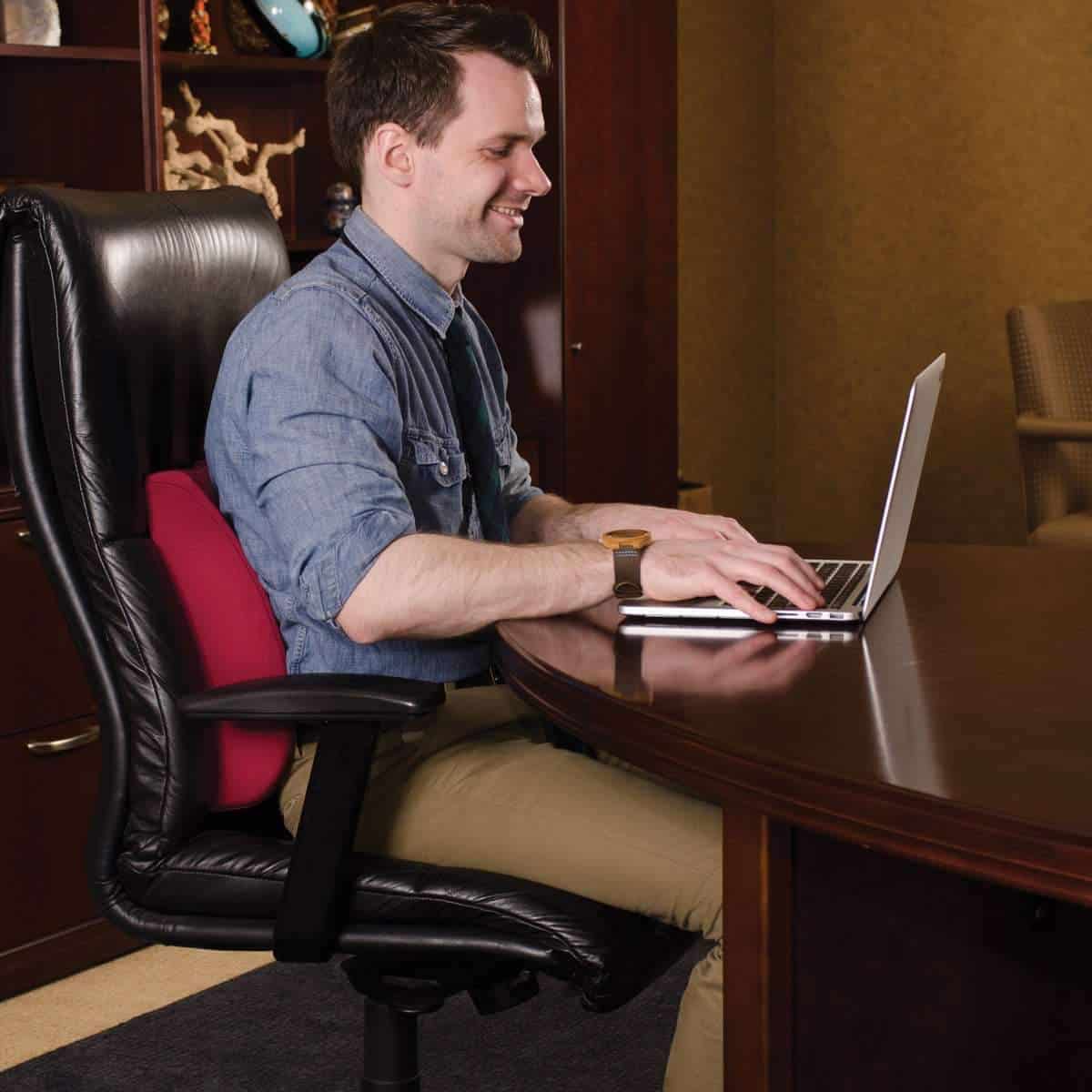 DMI Relax-a-Bac Lumbar Support Back Cushions with Insert and Strap - primehubstore.shop Cushions