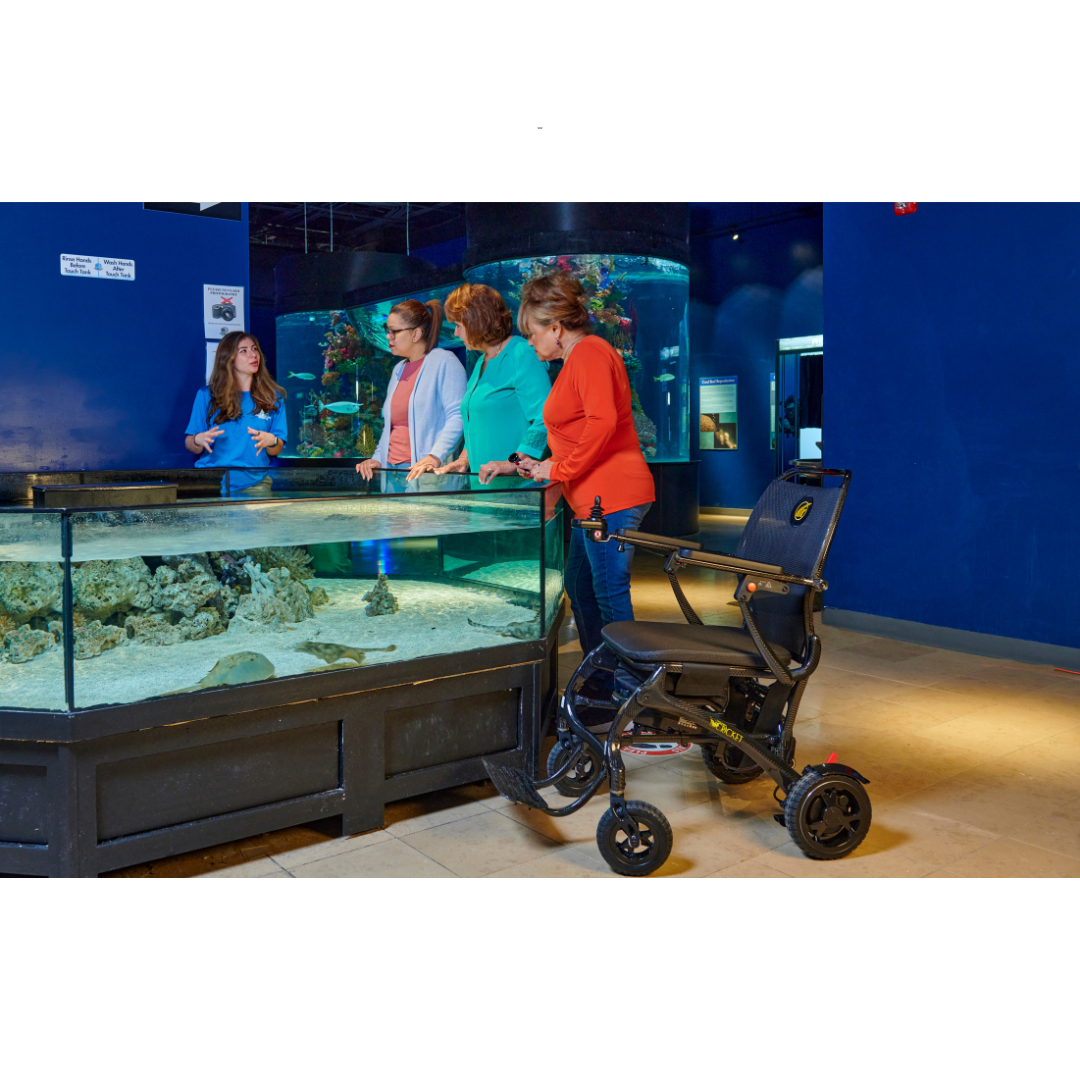 Golden Tech GP302 Cricket Carbon Fiber Foldable Travel Power Wheelchair - primehubstore.shop Power Chairs