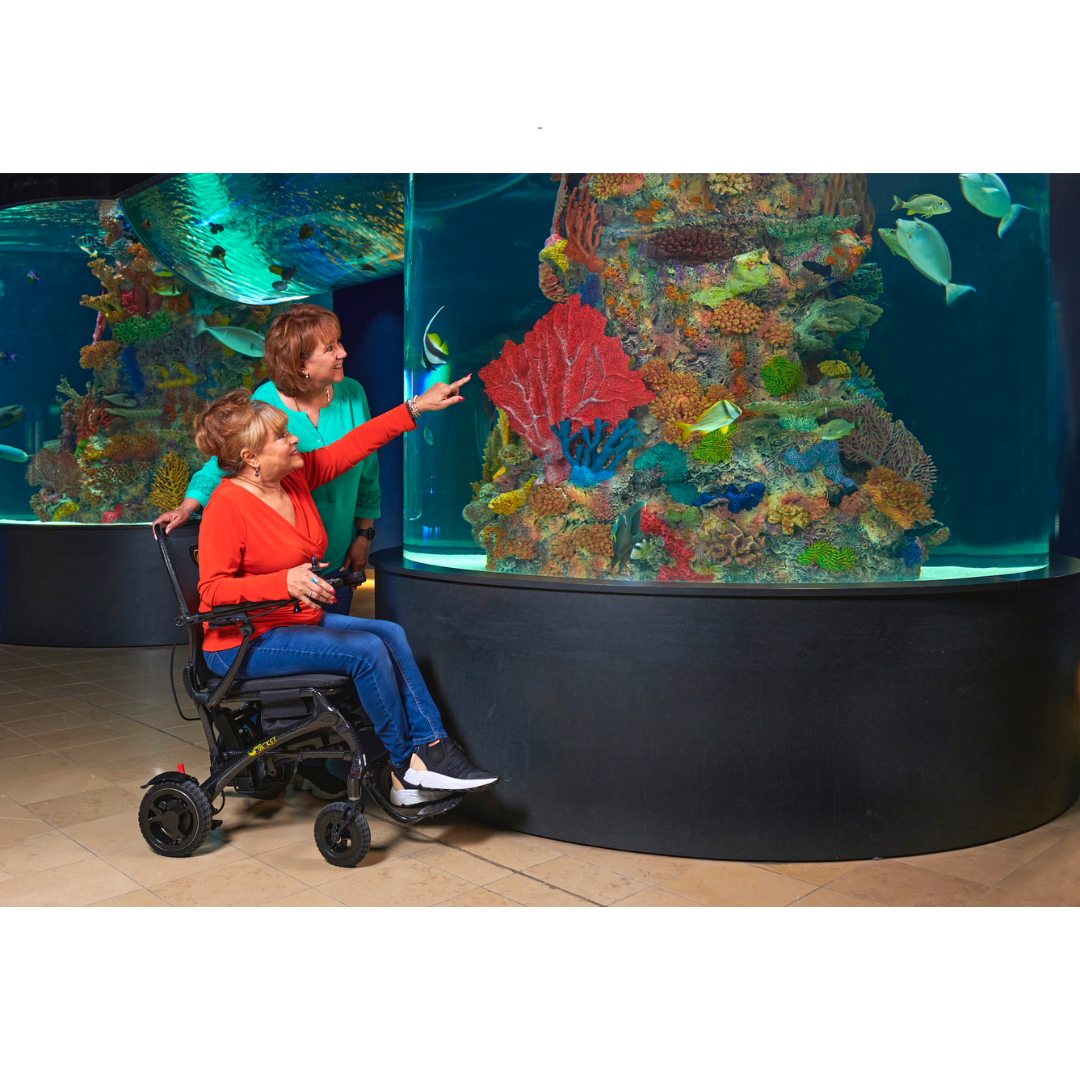 Golden Tech Cricket Carbon Fiber Foldable Travel Power Wheelchair - primehubstore.shop Power Chairs