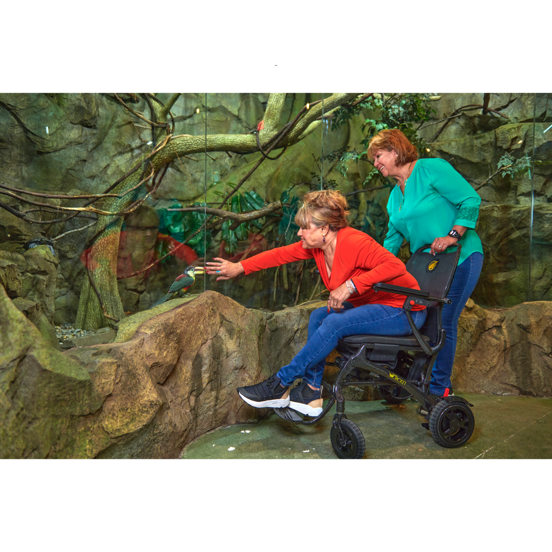 Golden Tech GP302 Cricket Carbon Fiber Foldable Travel Power Wheelchair - primehubstore.shop Power Chairs