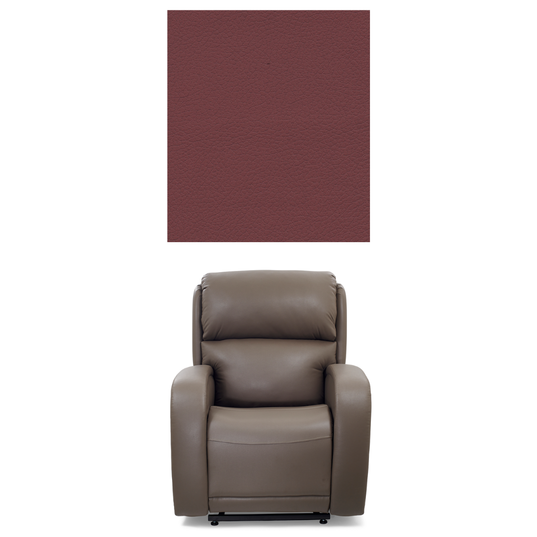 Golden Tech EZ Sleeper Assisted Lift Recliner with Twilight & Power Lumbar - primehubstore.shop Recliners
