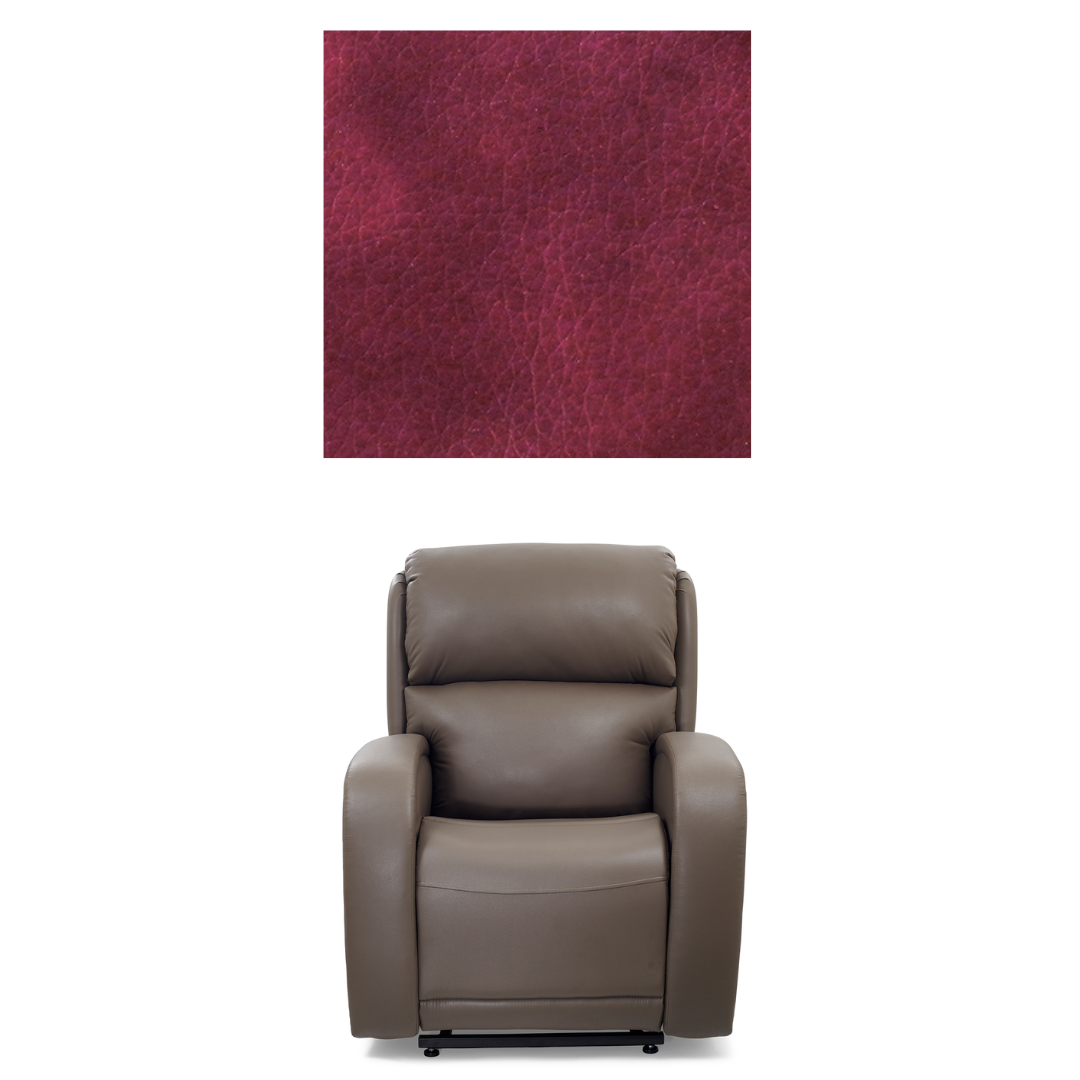 Golden Tech EZ Sleeper Assisted Lift Recliner with Twilight & Power Lumbar - primehubstore.shop Recliners