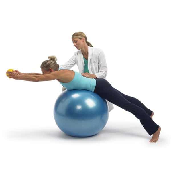 Gymnic Classic Plus Exercise Stability Balls - primehubstore.shop Exercise Balls