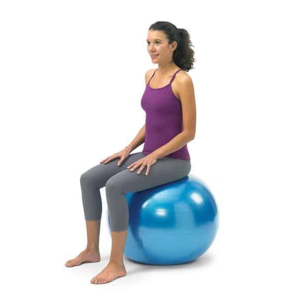 Gymnic Classic Plus Exercise Stability Balls - primehubstore.shop Exercise Balls