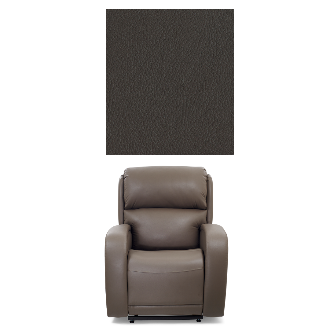 Golden Tech EZ Sleeper Assisted Lift Recliner with Twilight & Power Lumbar - primehubstore.shop Recliners