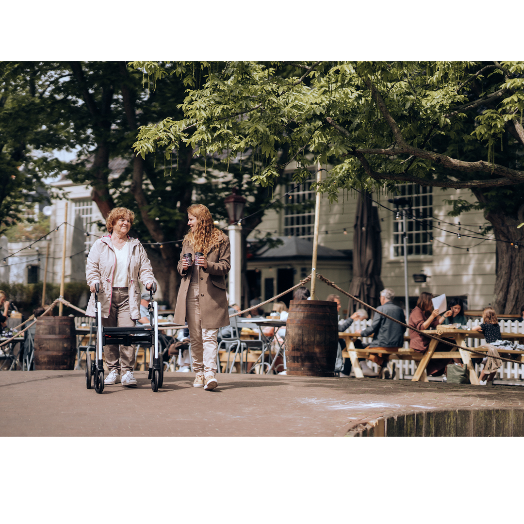 Rollz Motion Premium 2-in-1 Rollator & Transport Chairs - primehubstore.shop Hybrid Transport Chair/Rollators