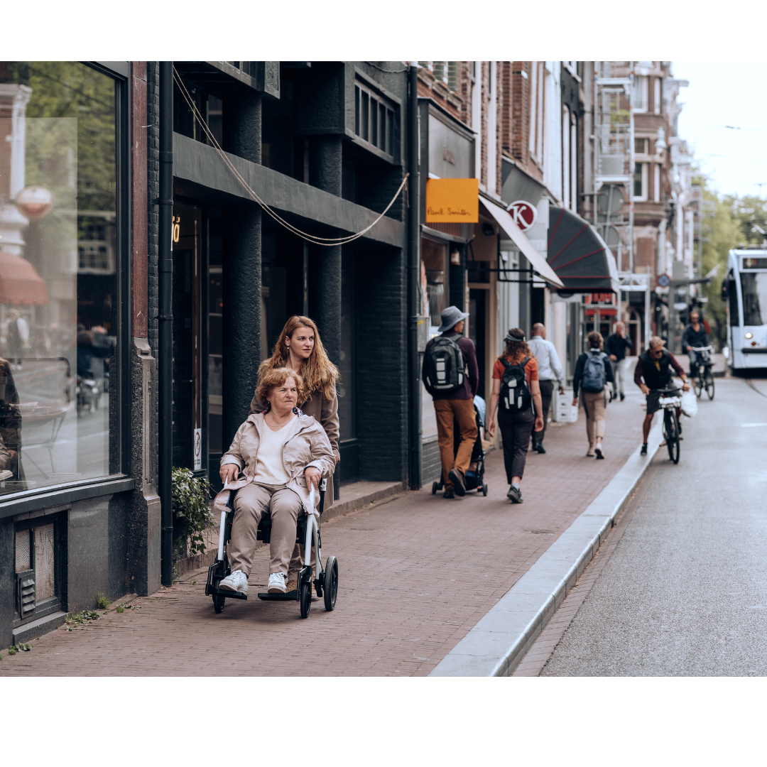 Rollz Motion Premium 2-in-1 Rollator & Transport Chairs - primehubstore.shop Hybrid Transport Chair/Rollators