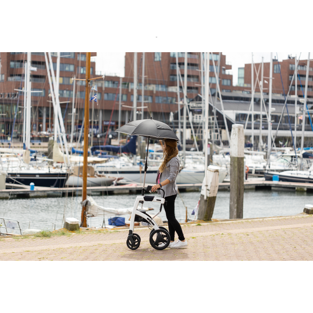 Rollz Motion Premium 2-in-1 Rollator & Transport Chairs - primehubstore.shop Hybrid Transport Chair/Rollators