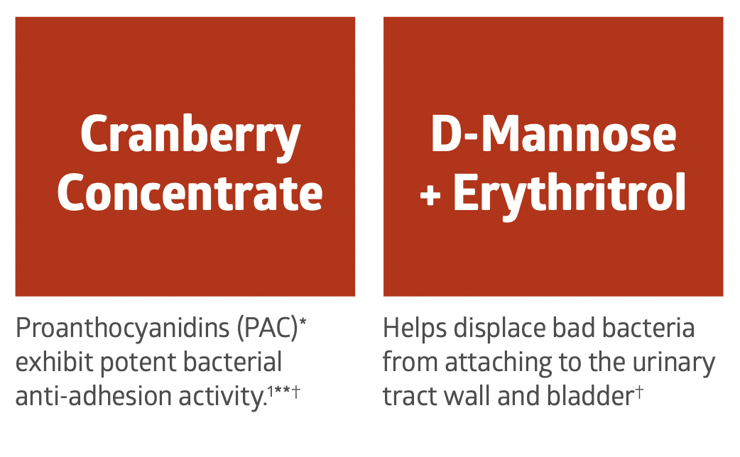 Medline Cranberry+ Liquid UTI Dietary Supplement - 30 oz Bottle - primehubstore.shop Nutrition Supplements