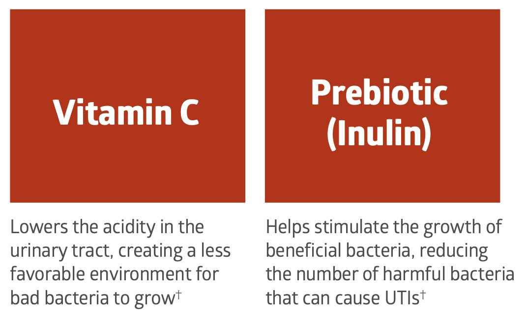 Medline Cranberry+ Liquid UTI Dietary Supplement - 30 oz Bottle - primehubstore.shop Nutrition Supplements