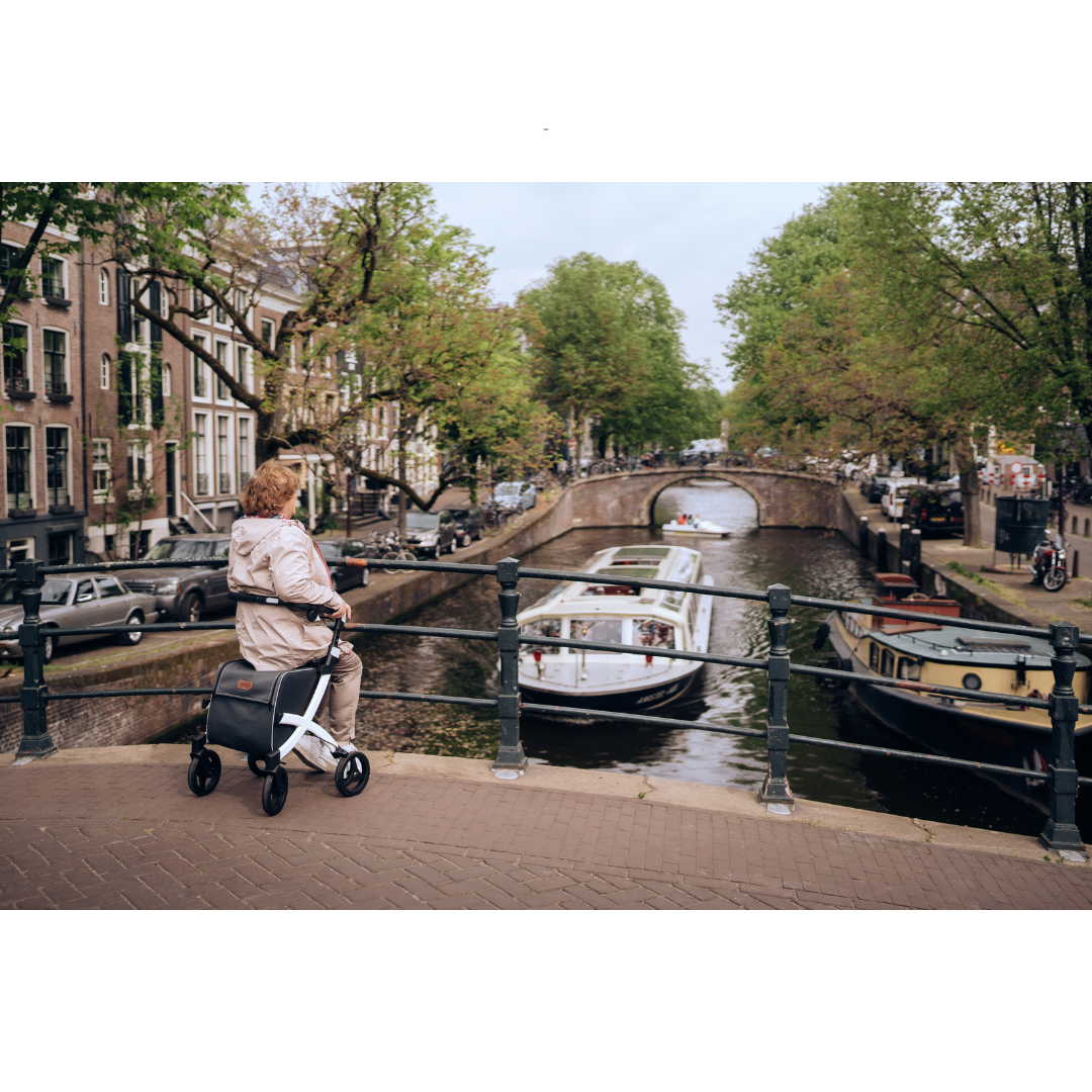 Rollz Flex2 Premium Lightweight Mobility Rollator Shopper Walkers - primehubstore.shop Rollators