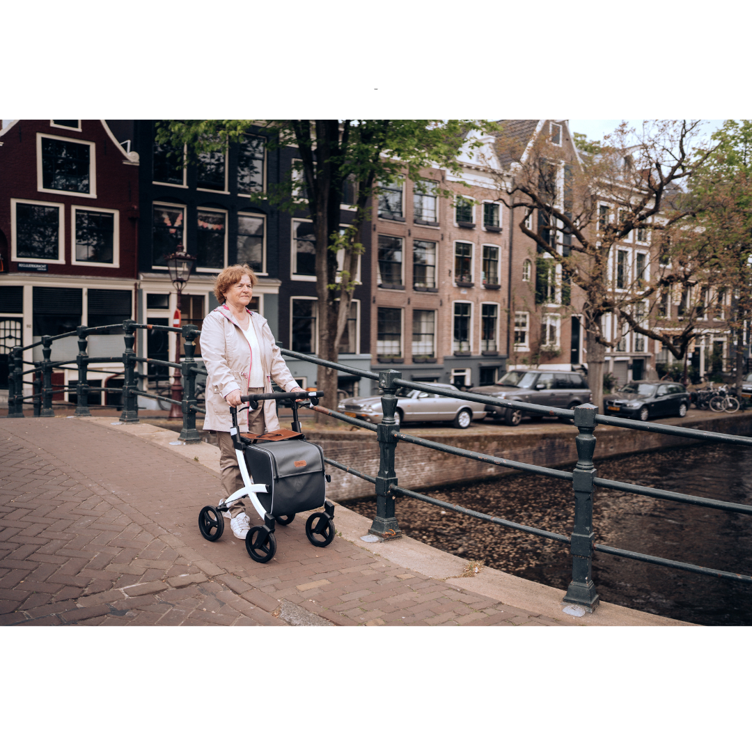 Rollz Flex2 Premium Lightweight Mobility Rollator Shopper Walkers - primehubstore.shop Rollators